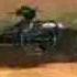 Halo A Story Of A Man And His Rocket Launcher Part 1