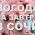Погода в Сочи на завтра