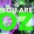 Bellezzo Feat Irene Frozen Lyrics Video