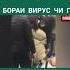 ХОЧИ МИРЗО ДАР БОРАИ ВИРУС ЧИ ГУФТ