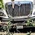 𝗧𝗥𝗘𝗘 𝗧𝗥𝗔𝗚𝗘𝗗𝗬 Truck Destroys Ficus Tree In Santa Monica Forces Street Closure And On Site Shredding