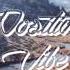 Milky Chance Down By The River FlicFlac Edit