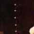 Earl Wild Plays Liszt Reminiscences Of Lucia Di Lammermoor Donizetti
