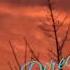 Allahu Heart Touching Nasheed English Lyrics Ahmed Bukhatir