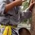 Shaolin Iron Zen Finger Training