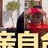 习近平失误 亲自 台独 了 习式反腐第五刀砍医药 第六刀砍哪 川投集团纪委副书记自杀 网易B站跟官方唱反调账号被封 突发 美军机坠毁 三海军士兵身亡 明镜要报 20230828