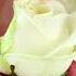 I Am Beautiful Wmv Mantra