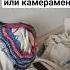 это дождь из тако жиза Shorts