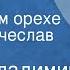 Колин Владимир Сказка о хвастливом орехе Читает Вячеслав Невинный