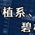 中植系 中融信托 碧桂园暴雷背后的逻辑