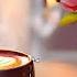 Relaxing Jazz Music Cozy Parisian Café Ambiance Positivejazz Backgroundmusic Jazzmusic