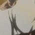 Gon Vs Pitou AMV Mischa Book Chillak Feat Esthero Ready Or Not