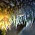 Germind Mind Eclipse 05 Star Voice Psybient Psychill Downtempo Electronica