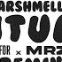 Marshmello Ritual Feat Wrabel MRZY X TODI3FOR REMIX Visualizer