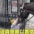 靈性的軍馬 自說自話的總裁