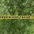 Веселый ветер ветер ветерок стихия
