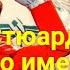 Караоке пародия песни Стюардесса Жанна