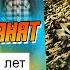 Обзор альбома ЗАКЛЯТЬЕ ЦАРЕЙ проекта Цыганята и Я с Ильича