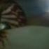 Louise Tucker Charlie Skarbek Midnight Blue Legendado 5