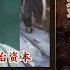 刘少奇之伤02集 文斗明星 安源路矿大罢工 李立三 国共合作 五卅运动 惨案 历史有声书 天涯神贴 不被理解的毛泽东 卷二
