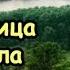 Молочница от анала