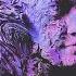 Clap Codex Antithesis Official Audio