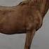 Wood Burning Art HORSE Pyrography Time Lapse Art