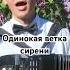 СПЕЛ ОТ ДУШИ одинокаяветкасирени баян песня залкин берлогаартиста топбаянист красавчик