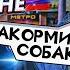 ПРИТВОРИЛСЯ ДЕДОМ и ПРОВЕРИЛ БОГАТЫХ в ДАГЕСТАНЕ ЧАСТЬ 2