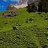 AGİRE JİYAN BEHNA ADARE