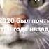 проснись скоро новый год