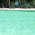 Jamaica In New York Mp4