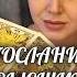 ПОСЛАНИЕ ВЫСШИХ СИЛ
