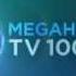 Заставка TV 1000 Megahit 2012