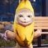 Happy Happy Happy кот кошки мем Memes Cat Shorts Happyhappyhappy