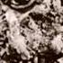 Son Of Godzilla Main Title EWQL No Perc