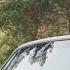 Rafet El Roman Bir Alem Var By Teymur Ai Music
