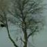 Pavel Karmanov Different Rains Fragement In Film Milky Way By Fliegouf Benedek