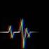 10 Second Countdown With Voice NO Copyright Free Sound Effects