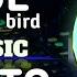 SLOW DJ SIUL TIKTOK VIRAL BLUE BIRD FULL VERSION TERBARU