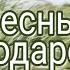 Песнь благодарения Слово жизни Music Feat Настя Шавидзе Караоке текст Lyrics