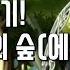 똑같이 만들기 메이플스토리 수련의 숲 에레브 브금 똑같이 만들기 Maplestory BGM Making Ereve