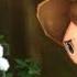Yo Kai Watch Part 1 The World Of Yo Kai