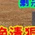 晚清狠人僧格林沁 打赢过英法联军 剿杀捻军叛乱 却被小贼暗算