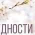 6 Ваза Аудиокнига Трудности Маргариты Elizabeth Wetherell