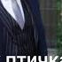 Королек птичка певчая 16 серия хорошее качество