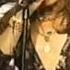 New York Dolls Rollins Show