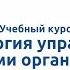 Вводная видеолекция к курсу Психология управления с элементами организационной психологии