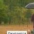 В Беларуси придёт сильное похоладание новостибеларуси