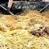 SHOCK 3 Tons SOLD In 12 Hours POPULAR And NATIONAL FOOD Uzbek Cuisine